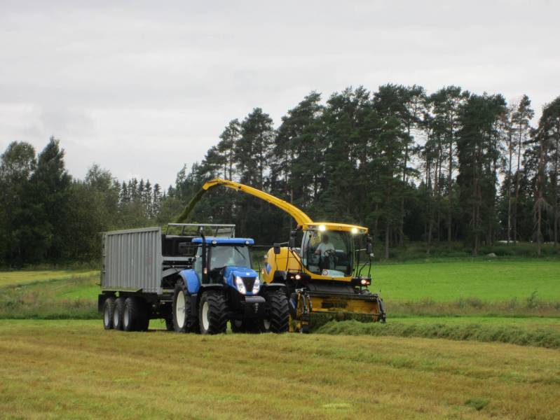 Laho-Osan työnäytös
New Holland laatua... Rehu pellolla.  
Avainsanat: Vesisade