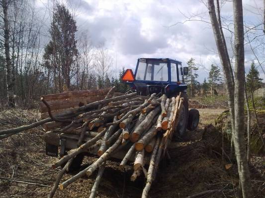 Leyland ja pikku kärri
Puita käytii tekemässä
Avainsanat: leyland kärri polttopuu metsätyö