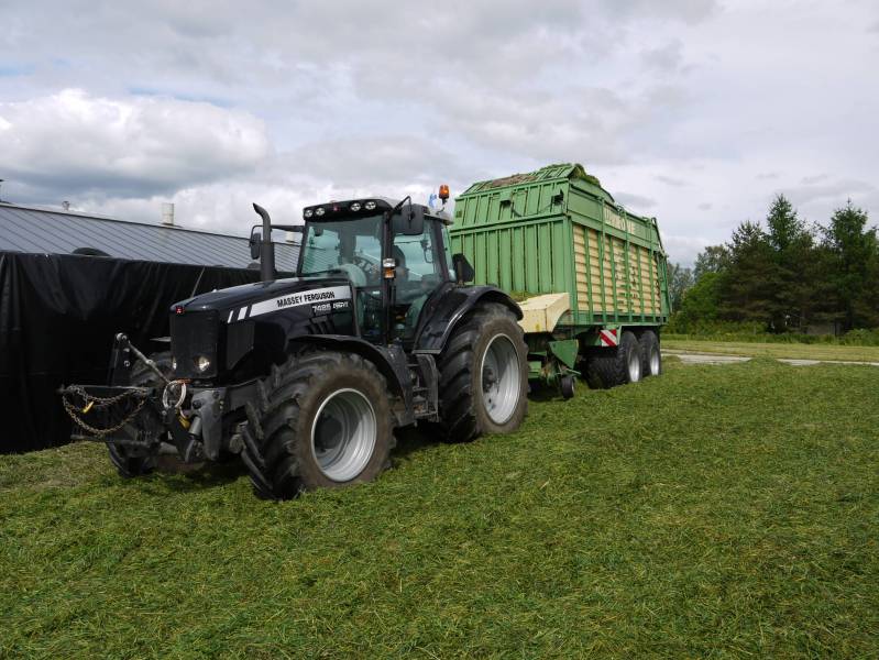 Rehunajoa
7485 ja krone 5xl siilolla
Avainsanat: krone mf massey ferguson siilo