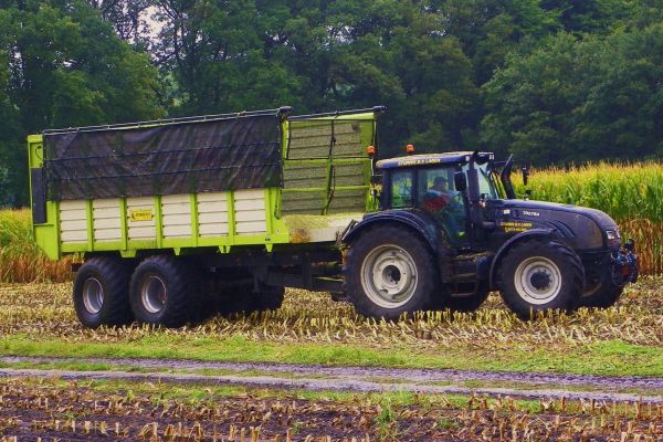 Black T202 in the Netherlands
Valtra 202 with Kaweco hauler during maize-harvest in the Netherlands by contractor Sturris, who owns a wide range of Valtra's and (too bad) one Fendt.
