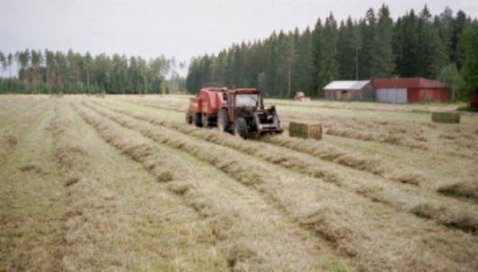 110-90+1010
heinänpaalausta satakympillä. ei vauhti hirvittäny :-)
