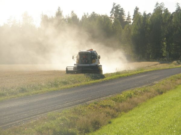 Comiaa naksuttelua
Comia C6, Sopivan kuivahkoa tavaraa jo pölypilvestä päätellen. Puintikosteus 15-17%
Avainsanat: sampo comia c6 puinti