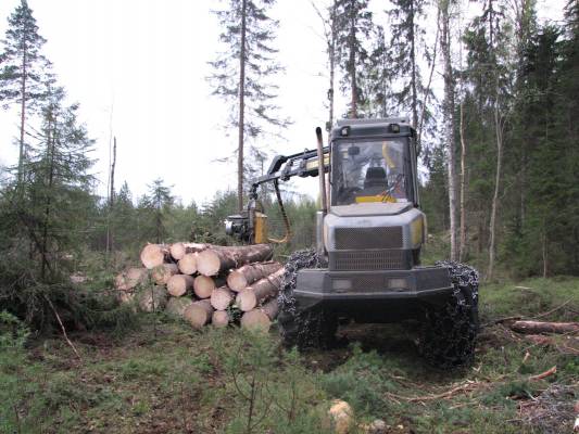 Ponsse Ergo
Olpa hieman puustonen kohta, niin tul jonkunmoinen kasa, ei kovin monelle kasalle tarttenu wisentin tämän jälkeen pysähtyä.
Avainsanat: Ponsse ergo metsäkoneet metsä puut