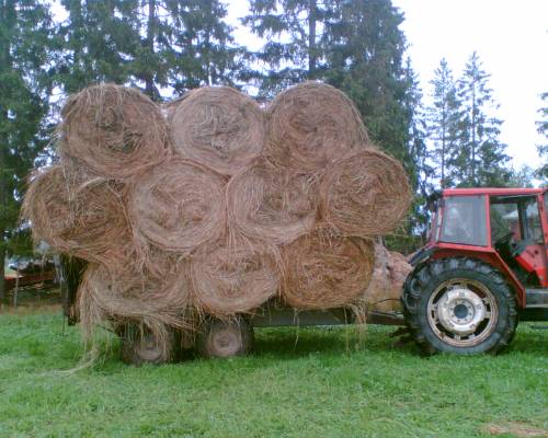 Valmet 905 + 10 tn tuhti + 20 paalia kesantoheiniä
Tuli vähän heinille vettä -06, sai vähän "rusketusta" pintaan..
Avainsanat: heinä valmet tuhti pyöröpaali