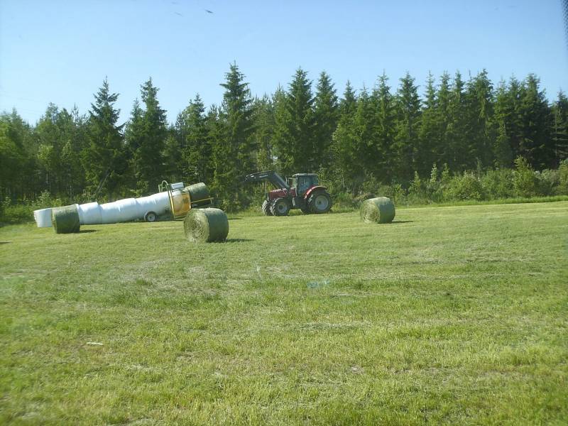 MF 7485+Elho tubeline
Verkku alottelee tuubia. 160cm paaleja pötköön. Siitä voi laskea kustannussäästöjä vertaillessa 130cm paalin yksilökäärintään.
Avainsanat: 7485 elho