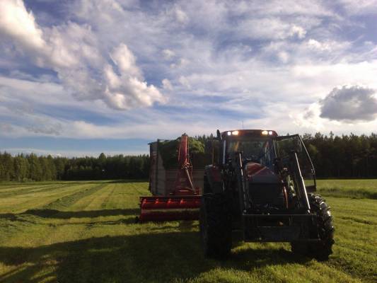 Rehuntekoa 2008
Valtra T140 & JF FCT 1100 MK2 & Tuhti W120.  noin 6 minuuttia menee kuorman tekoon tuommoisella lohkolla. Heinä ei ollu loppuunsa mitään hirveää, ja 6 metriä ajettu yhdelle karholle
Avainsanat: valtra jf rehu