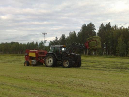 Valmet 6900 & New Holland 835
Vähä piti rehuakin paalata, ni ei tarvii aumoja aukoa ihan heti
Avainsanat: Valmet paalaus rehu