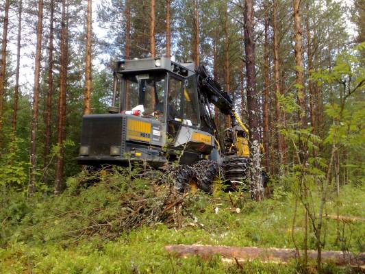 Ponsse Hs10 Cobra
Cobra harvennuksella
Avainsanat: ponsse harvennu männikkö