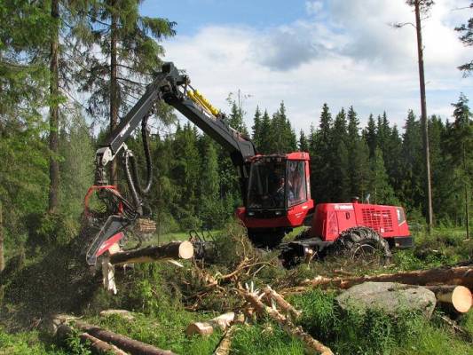 Valmet 941.1
Vilppulan näytöksestä kertyi muutama räpsy. Komiasti retuutti puuta.
Avainsanat: valmet 941 370 moto vilppula