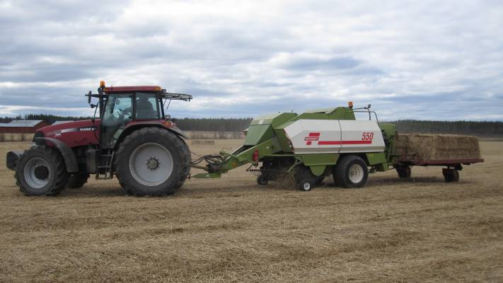 CaseIH MXM 190 & Fortschritt 550 ja paalivaunu
Ensimmäisiä ruokohelven paalauksia saksasta uitetulla suurkanttipaalimella
Avainsanat: Caseih mxm 190 fortschritt 550 paalivaunu