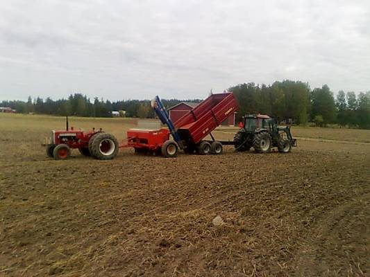 565,hkl250,w60,A95
syysvehnän kylvöjä. olosuhteet ihanteelliset
