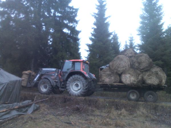 Valtra T170 ja Velsa 85
Helpipaalikuorman haku possuille pehkuiksi
Avainsanat: valtra t170 velsa 85