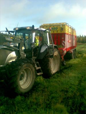 Valtra T190 + jumpo Pötinger 7200
meinas olla pehmeitä sarkoja, yks pitempi kare kyydissä. Koko ajan sai käsitäytöllä pukata kuormaa taakse ku otti kuormaa.Saran pää oli sit liikaa. ei lähteny yhdellä koneella vaan piti soittaa isäntä paikalle vetämään toisella
Avainsanat: jumpo pöettinger 7200