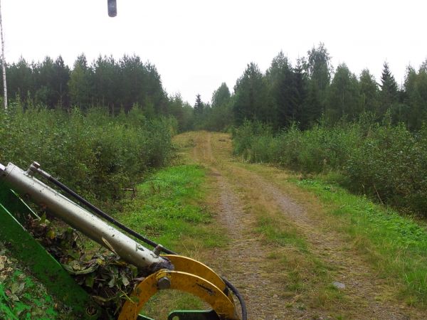 ja jälkeen
Cabella tienvarsia, siinäpä olis kuvaa kauempana ajettu (ei sattunu parempia kuvia olemaan) mutta kyllä sillä hyvästi pajukko kaatuu..paksukin. Ainut että muuten aika susi koko vehe. Omiin ajuihin varmasti käypänen kampe..
Avainsanat: Fiat Cabe