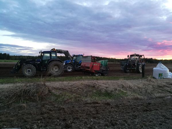 Kylvö touhuja
NH M100 & Tume NH T7030 & Kivi-Pekka Fiat F115 ja Multiva
Kivien keräilyä kylvön edeltä.
Avainsanat: Newholland Fiat Tume Kivi-Pekka