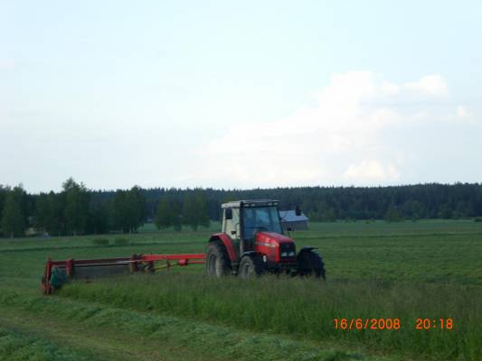 Niittelyä kesällä
6260 & Taaruppi
Avainsanat: Massikka