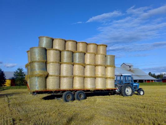 Paalikuorma
Hyvin maantielaillinen kuorma. 50kpl oli tavoote, parilla jäi uupumahan kun loppuu paalit kesken. Veturina New Holland 6600.
Avainsanat: paalikuorma ford pyöröpaali olkipaali paalikärry paalivaunu