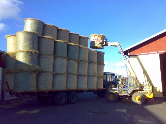 Paalikuorman purkua
Ulettuu...
Avainsanat: paalikuorma jcb kurottaja ford pyöröpaali