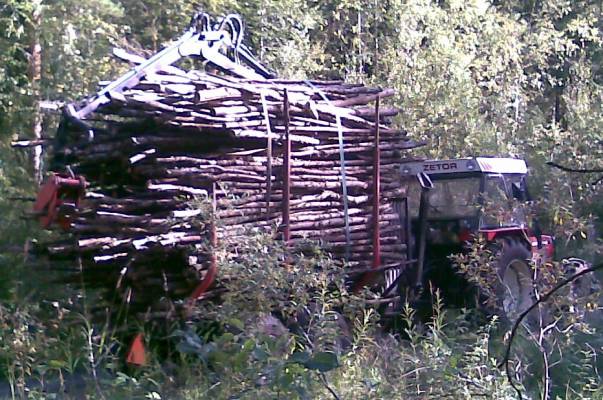 Zetor 7745 Jubile, Hakki 2551&91, vajailla ei ajeta
Mukavan kokoinen rankakuorma saatu mettästä tielle. Oli aika huono paikka hakia kuorma (pehmoista&kiviä). Vielä kärryn valot kiinni ja peilit leviälle niin yhdistelmä on tieliikennekelpoinen. Kuvan laadun takaa vuotava Nokian kummisaapas
Avainsanat: metsäyksikkö forest unit