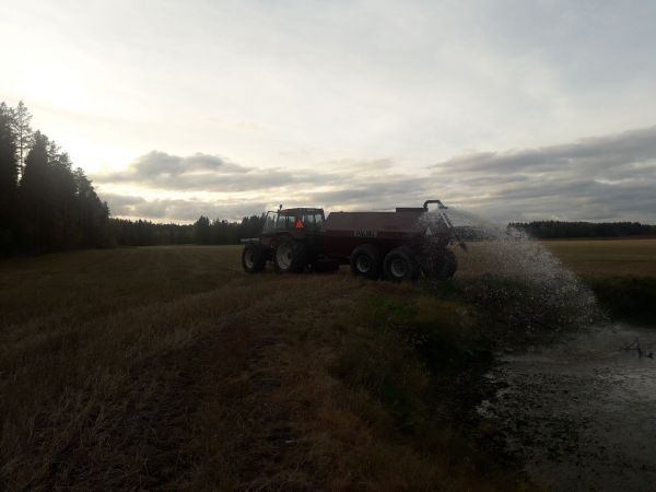 Valmet ja palmu
ruutanoolle vettä savikrooppihin syksyllä 2018
Avainsanat: valmet