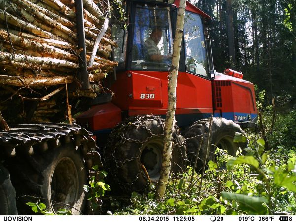 Valmet 830
bänhämi kesä leimikolla
Avainsanat: 830