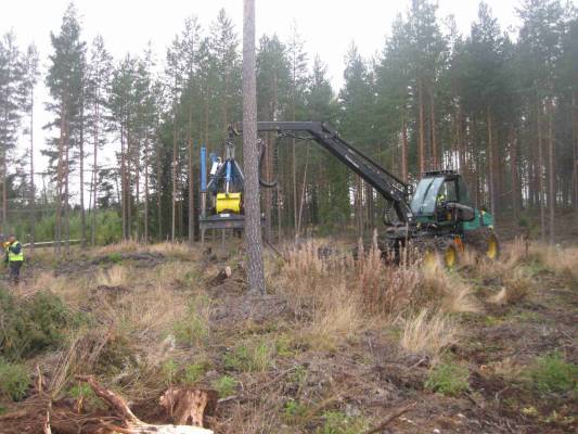 kantonostin
kaikkea sitä viritellään
Avainsanat: kanto