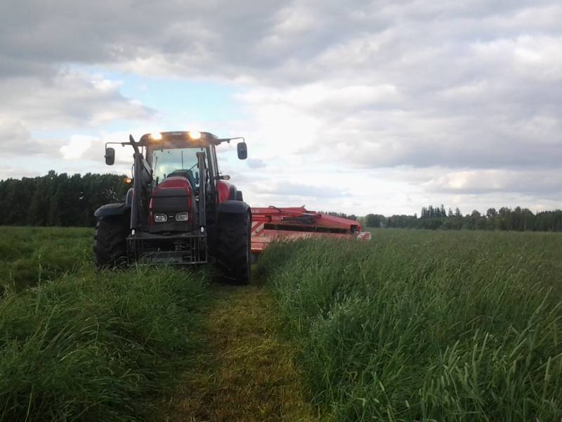 T150 ja kuhn 353
Ensimmäisen sadon niittoja
Avainsanat: valtra kuhn