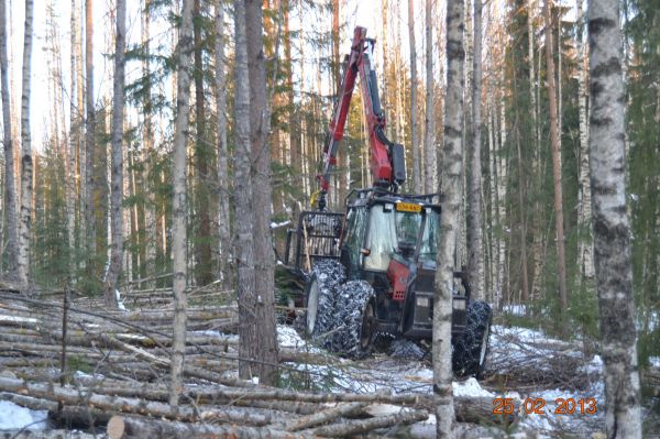 Valmet 6400 mettävarustuksella
Energiapuun ajoa
