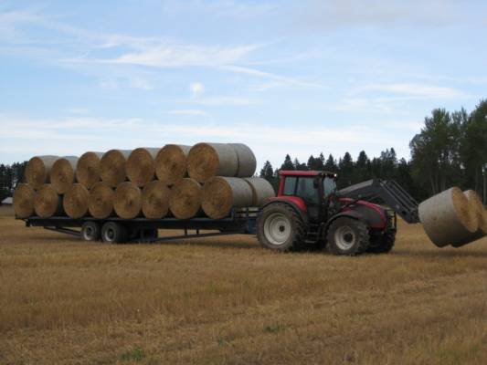 valtra t150 ja olkikuorma
kuivikeolkien ajoa
Avainsanat: valtra paalikärry