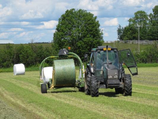 valmet 6400 ja elho
ekan sadon käärintää
ei pahemmin enään mahdu isompaa paalia käärimeen
Avainsanat: valmet 6400 elho käärin