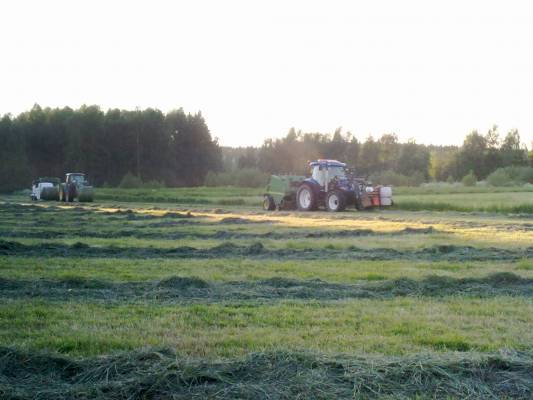 newholland ts135a+jondeere 578 paalain ja jondeere 6230+agronic käärin
rehunteko 2009 21tuntiin 23ha ja 309 paalia
Avainsanat: ts135a jondeere578 jondeere6230 agronic