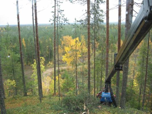 Valmet 901.2 /945
Mielenkiintoinen harvennus. Ei passannu päästää konetta liian alas. Alarinteeseen tehtiin aukkoa. 
Avainsanat: valmet 901 945 metsä