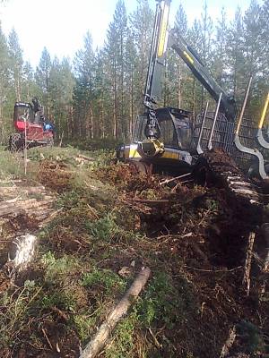 Valmet 901.1 ja Ponsse Wisent
Tässä tulos kun päästää motomiehen ajokin rattiin. Tulipa ajurille( minulle ) ajovirhe ojalinjalla ojien risteyksessä. Meinasi olla aika tiukassa. 
Avainsanat: valmet 901 ponsse wisent