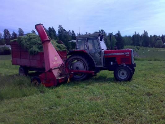 Laitumen niittoa
MF 375 ja taarup laidunta niittämässä.
Avainsanat: MF 375 taarup