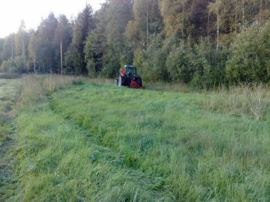 Valtra 700 ja Pomo
Niittelyä valtralla ja pomolla.
Avainsanat: valtra 700 pomo