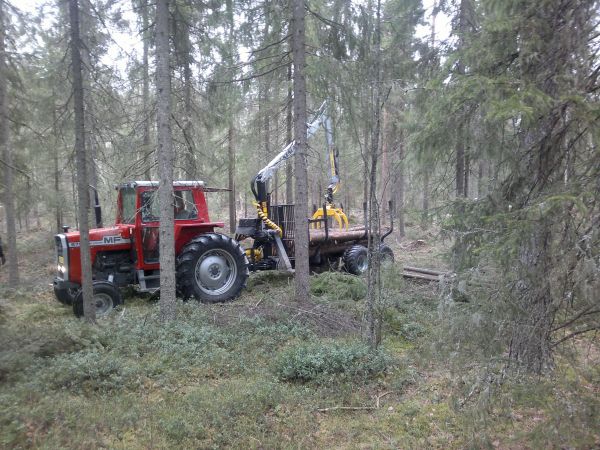 MF 575+Kesla 202T+Kesla9t
Metsän siimeksessä.
Avainsanat: MF Kesla 575 202T