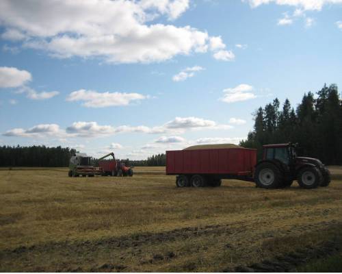 claas medion 310,same silver 110 ,valtra n141 ja taustalla hitachi ex 135usr
Avainsanat: claas same valtra hitachi