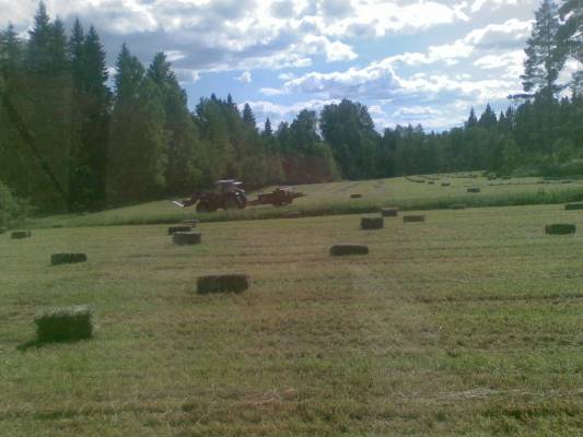 MF375 + Rivierre Casalis
Pikkupaalien paalausta naapurissa..  kuvattu 605 kopista 
Avainsanat: Kones