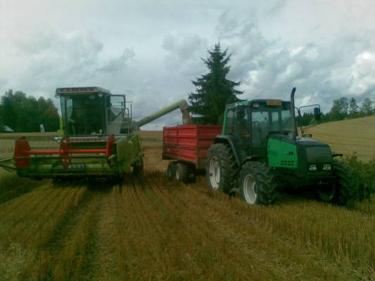 Claas Dominator 48s & valtra 6400 + velsa 85
ekat puinnit terminaattorilla... hyvin pelas kaurassa mut ohran kimppuun kun kävin ni alko joku hihna luistaan ja puintikoneiston vauhti hiljeni ni lopetettii sitte ku kello oli jo lähemmäks 19..
Avainsanat: kones