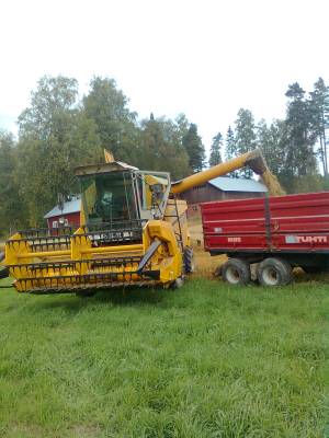 puinnit alotettu täällä hämeenkosken perukoilla marika kaurasta. kosteus 20 vaikka pilves oli melkein koko aamupäivän ja sadetta eilen
SR 2045 ja tuhti 85
Avainsanat: SR 2045