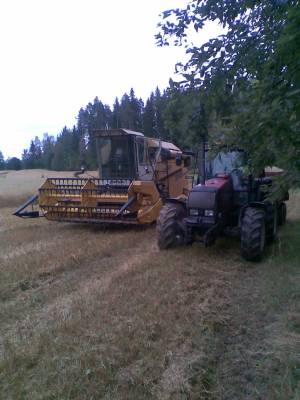 syksyn 08 puinnit alotettu
SR 2045 ja valtra-valmet 6550. pehmeetä on kun koko ajan lyö etupää tyhjää vaikka olis tyhjäkin säiliö. puimuri on kuitenkin liikkunu omin voimun mutta tossa kuvassa oleva kuorma ei sitte liikkunukkaan yhden traktorin avulla pois pellolta vaan piti hakea 865 avuks
Avainsanat: SR 2045 valtra-valmet 6550