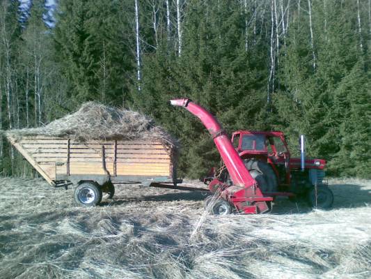 Alko kuivikkeet loppuu kesken. kunnollista kutteria ei saa kohuullisella hinnalla mistään ja viime syssyn olkipaalit mätiä paskoja. mutta sitten sain vuosisadan idean eli kesantopellolta heinää silpuks
M-F165s varsta 1250 ja rysky 5T
Avainsanat: M-F165s varsta 1250