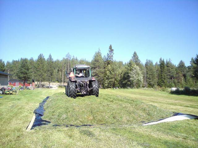 Valtra 900
Auman polkua kesältä 2010, pienet alat, pienet aumat, sopivat koneet. Oli kohta liian kuivaa, ei tullut puriste nestettä.
Avainsanat: Valtra 900