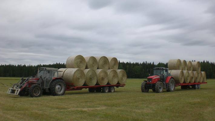 Heinäpaalien ajoa
MF 390 & 6475
Avainsanat: paalikuorma heinänteko mf 390 6475