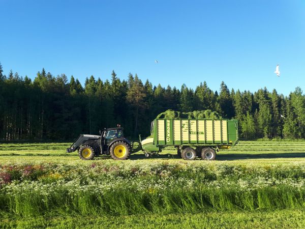 Kuiva keli oli tehdä rehua 
Valtra T234 ja Krone 450GL
Avainsanat: Krone