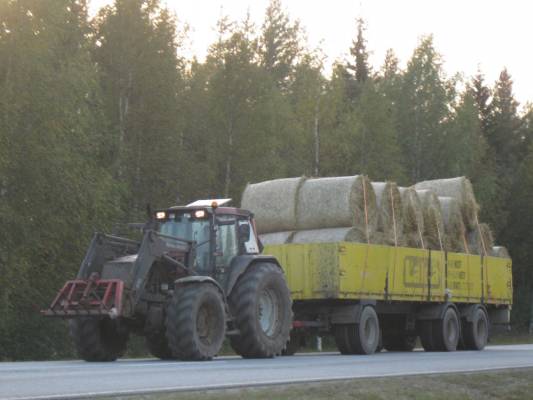 Valtra 8350
Syksy 2009 Valtra 8350 paalien ajossa 
Avainsanat: 8350