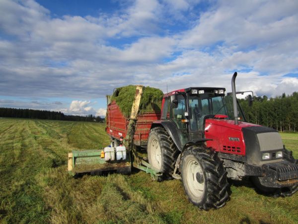 Valtra 6550 elho ja tuhti
Oli noukinvaunun jälkeen vähän erilaista rehunajoa..
Avainsanat: Elho