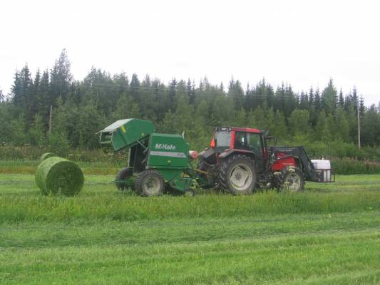 Valtra 8050ht Mchale F550
Kesä 2008 ja kaura rehua paaliin tuule paaljon pareman malliset paalit kun vanhalla claasilla 
Avainsanat: 8050