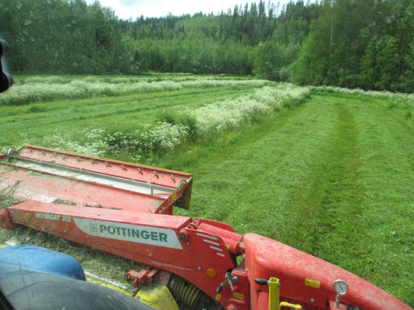 Kesä 2014 Kesanto pelto
Valtra T160 Pöttinger 352
Avainsanat: Valtra