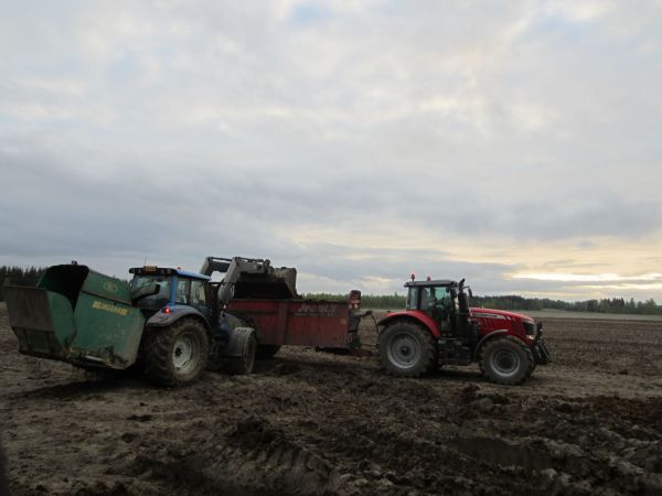 Massey Ferguson 7624
Massikka 7624 ja tottkai Vallu T190
Avainsanat: 7624